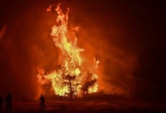 Φωτιά στον Ωρωπό: Είναι δύο τα μέτωπα, λέει ο δήμαρχος - Ενισχύονται οι δυνάμεις για το βράδυ