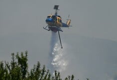 Κοζάνη: Μία σύλληψη για την φωτιά στο Δρέπανο