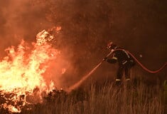 Φωτιά στη Θάσο: Εκτός ελέγχου το μέτωπο – Καταστράφηκε beach bar, εκκενώθηκαν ξενοδοχεία