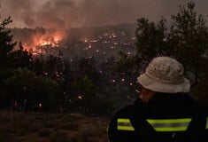 Φωτιά τώρα στο Δρέπανο Κοζάνης - Αναμένονται εναέρια μέσα