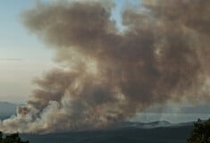 Φωτιά στον Ωρωπό: «Κάηκε μεγάλο μέρος του δάσους» λέει ο δήμαρχος