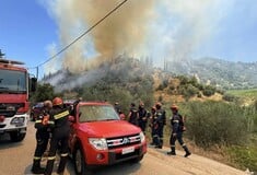 Μεγάλη φωτιά στο Αίγιο: Ισχυρές δυνάμεις της Πυροσβεστικής στις Νερατζιές - Σηκώθηκαν 5 εναέρια μέσα