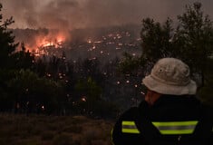 Φωτιά στον Ωρωπό: Συνελήφθη 70χρονος για εμπρησμό από αμέλεια