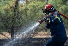 Χαλκιδική: Απαγόρευση κυκλοφορίας σε ορισμένες περιοχές αύριο λόγω υψηλού κινδύνου φωτιάς