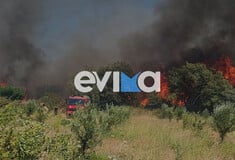 Φωτιά τώρα στο Αλιβέρι Ευβοίας - Ήχησε το 112