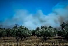 Σε ύφεση η φωτιά στο Αλιβέρι: Πως ξεκίνησε – Συνελήφθη ένας 60χρονος