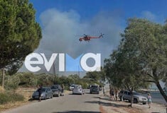 Αλιβέρι: Μία σύλληψη για την φωτιά - Σε πλήρη εξέλιξη η επιχείρηση κατάσβεσης