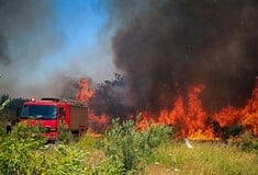 Αλιβέρι: Μαίνεται η φωτιά - Ισχυροί άνεμοι πνέουν στην περιοχή