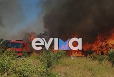 Φωτιά στο Αλιβέρι: «Η φωτιά είναι κοντά σε σπίτια» λέει ο αντιδήμαρχος