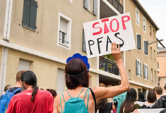 Επαναστατική ανακάλυψη: Εντερικά μικρόβια απομακρύνουν «παντοτινά χημικά» από το σώμα