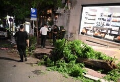 ΤΡΟΧΑΙΟ ΣΤΟ ΚΟΛΩΝΑΚΙ