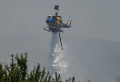 Φωτιά τώρα στη Λέσβο: Επιχειρούν τέσσερα εναέρια