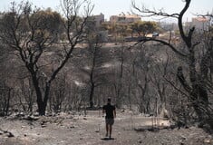 Meteo: Έως και 10 βαθμούς αυξημένη η θερμοκρασία στην επιφάνεια των καμένων εδαφών