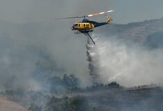 Λακωνία: Χωρίς ενεργή εστία το μέτωπο της φωτιάς