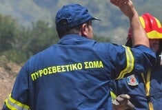 Φωτιά τώρα στη Λέσβο: Σπεύδει στο σημείο η Πυροσβεστική