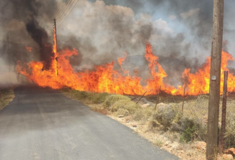 Φωτιά στη Λακωνία: Ήχησε το 112 – Μάχη με τις φλόγες από επίγειες και εναέριες δυνάμεις