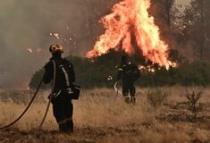 Φωτιά τώρα στο Κάτω Σχολάρι Θεσσαλονίκης - Μήνυμα 112