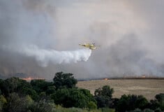 Φωτιά στο Τολέδο: Πάνω από 3.100 καμένα στρέμματα, φόβοι για αναζωπυρώσεις - Οι καπνοί έφτασαν Μαδρίτη