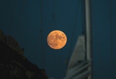 Γιατί η πανσέληνος του Αυγούστου ονομάζεται «φεγγάρι του Οξύρρυγχου»
