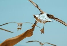 Καιρός: Έκτακτο δελτίο από την ΕΜΥ - Εξαήμερος καύσωνας με 43άρια, στο επίκεντρο η ηπειρωτική Ελλάδα