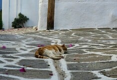 Καύσωνας σε εξέλιξη: Πρώτη ημέρα με 39άρια σήμερα – Προειδοποιούν για έξι δύσκολα 24ωρα οι μετεωρολόγοι