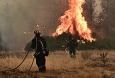 Κιλκίς: Κάηκαν 70 ζώα από τη φωτιά στους Αγίους Αποστόλους