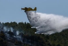 Φωτιά στην Ηλεία: Ενισχύθηκαν οι δυνάμεις της Πυροσβεστικής 