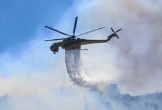 Φωτιά στον Φενεό Κορινθίας: Δεύτερη εκκένωση μέσα σε λίγες ώρες - Ανεξέλεγκτο το μέτωπο 