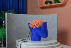 Αν γνωρίζουμε τη βιολογική ηλικία του εγκεφάλου μας, «κρατάμε το κλειδί της μακροζωίας στα χέρια μας»