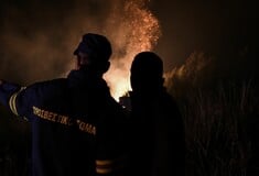 Φωτιά στον Φενεό: Ολονύκτια μάχη με τις φλόγες για περισσότερους από 200 πυροσβέστες