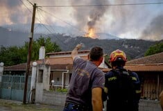 ΦΩΤΙΑ ΦΕΝΕΟΣ ΧΑΡΤΗΣ ΣΤΡΕΜΜΑΤΑ