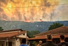 Αναζωπυρώθηκε η φωτιά στον Φενεό: Επιχειρούν 360 πυροσβέστες