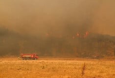 Στο έλεος της φωτιάς η Τουρκία: 10 νεκροί πυροσβέστες - Πύρινα μέτωπα σε Σμύρνη, Μαγνησία, Δορύλαιο, Προύσα