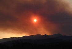 Φωτιά στον Φενεό: Ανυπολόγιστη η καταστροφή - Στάχτη πάνω από 12.000 στρέμματα