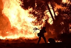Φωτιά: Τα ενεργά μέτωπα - Ποιες περιοχές διατρέχουν «ακραίο κίνδυνο» αύριο, σύμφωνα με την Πυροσβεστική