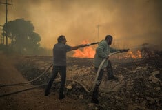Φωτιά στην Εύβοια: Εκτός ελέγχου τα μέτωπα - Εκκενώνονται οικισμοί, καίγονται γραμμές της ΔΕΗ