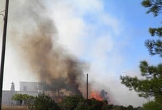 Φωτιά τώρα στα Κύθηρα - Μήνυμα από το 112