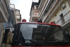 ΓΕΡΑΝΟΣ ΠΕΡΙΣΤΕΡΙ