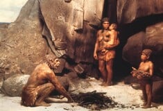 Οι Νεάντερταλ έτρωγαν σκουλήκια – Νέα μελέτη ανατρέπει όσα ξέραμε για τη διατροφή τους