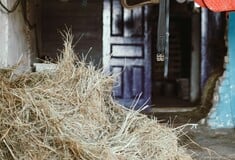 Ηλεία: Νεκρός εντοπίστηκε εργάτης σε στάβλο - Δολοφονία «βλέπει« η ιατροδικαστική εξέταση