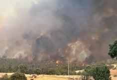Φωτιές στην Τουρκία: Χιλιάδες άνθρωποι απομακρύνονται, την ώρα που οι πυροσβεστικές δυνάμεις δίνουν μάχη με τις πυρκαγιές