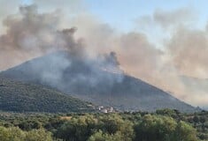 Μεγάλη η φωτιά στη Μεσσηνία - Αναζωπύρωση στην Εύβοια και μήνυμα του 112