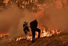 ΕΙΣΠΝΟΗ ΚΑΠΝΟΥ 