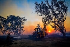 Συνολάκης για φωτιές: Προκαλούνται επειδή η πόλη έχει επεκταθεί στο δάσος