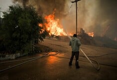 Φωτιά στην Εύβοια: 112 για εκκένωση στο χωριό Πισσώνας