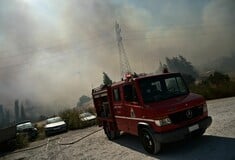 Κοζάνη: Αναζωπυρώθηκε λόγω των ανέμων η φωτιά στα Λιβερά
