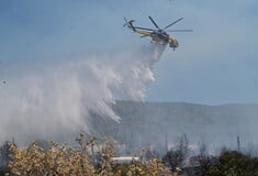Φωτιές: 55.540 στρέμματα κάηκαν σε Κύθηρα, Εύβοια, Αττική, Χανιά και Μεσσηνία