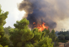 Μεγάλη αναζωπύρωση της φωτιάς στα Κύθηρα – Εκκενώνονται προληπτικά Κυπριωτιάνικα, Μητάτα και Βιαράδικα