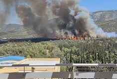 Φωτιά τώρα στην Πολυτεχνειούπολη Ζωγράφου - Μήνυμα από το 112