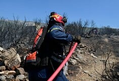 Κύθηρα: Χωρίς ενεργό μέτωπο η φωτιά, ενισχύονται οι πυροσβεστικές δυνάμεις 